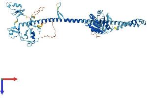 AlphaFold protein structure predicition of Human Recombinant TRIM23 Protein, UniprotID P36406
