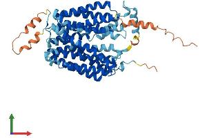 AlphaFold protein structure predicition of Mouse Recombinant Slc17a4 Protein, UniprotID Q5NCM1