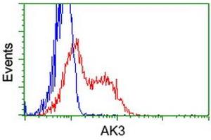 HEK293T cells transfected with either RC204408 overexpress plasmid (Red) or empty vector control plasmid (Blue) were immunostained by anti-AK3 antibody (ABIN2452715), and then analyzed by flow cytometry. (Adenylate Kinase 3 anticorps)