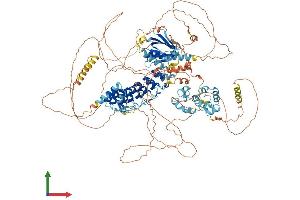 AlphaFold protein structure predicition of Human Recombinant ANKS1B Protein, UniprotID Q7Z6G8