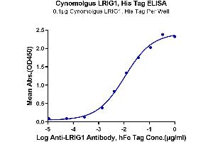 Immobilized Cynomolgus LRIG1, His Tag at 1 μg/mL (100 μL/well) on the plate.