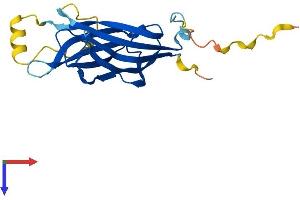 AlphaFold protein structure predicition of Human Recombinant B9D1 Protein, UniprotID Q9UPM9