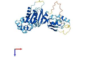 AlphaFold protein structure predicition of Mouse Recombinant Cenpn Protein, UniprotID Q9CZW2