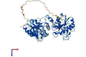 AlphaFold protein structure predicition of Human Recombinant PNKP Protein, UniprotID Q96T60