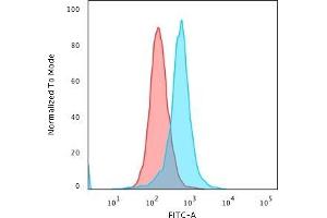 Flow Cytometric Analysis of PFA-fixed K562 cells using Calponin-1 Mouse Monoclonal Antibody (CALP ) followed by Goat anti-Mouse IgG-CF488 (Blue); Isotype Control (Red).