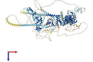 AlphaFold protein structure predicition of Human Recombinant BAZ1A Protein, UniprotID Q9NRL2