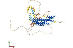 AlphaFold protein structure predicition of Mouse Recombinant Fam114a2 Protein, UniprotID Q8VE88
