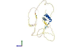AlphaFold protein structure predicition of Human Recombinant MEOX2 Protein, UniprotID P50222