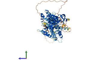 AlphaFold protein structure predicition of Human Recombinant FGD2 Protein, UniprotID Q7Z6J4
