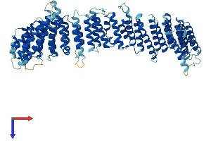 AlphaFold protein structure predicition of Human Recombinant VPS35 Protein, UniprotID Q96QK1