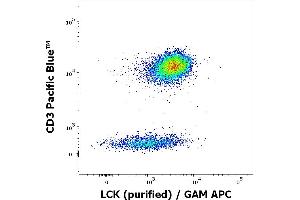 Flow cytometry multicolor intracellular staining of human peripheral whole blood stained using anti-LCK (LCK-01) purified antibody (concentration in sample 9 μg/mL, GAM APC) and anti-human CD3 (UCHT1) Pacific Blue antibody (20 μL reagent / 100 μL of peripheral whole blood). (LCK anticorps  (AA 22-36))