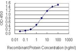 anti-Sp2 Transcription Factor (Sp2) (AA 71-161) antibody