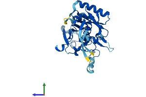 AlphaFold protein structure predicition of Human Recombinant RSPH9 Protein, UniprotID Q9H1X1