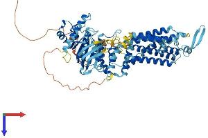 AlphaFold protein structure predicition of Human Recombinant ABCG8 Protein, UniprotID Q9H221