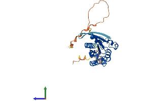 AlphaFold protein structure predicition of Human Recombinant RHOU Protein, UniprotID Q7L0Q8