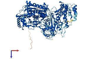 AlphaFold protein structure predicition of Human Recombinant UBA6 Protein, UniprotID A0AVT1