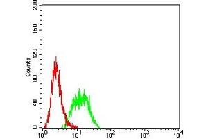 Flow cytometric analysis of HL-60 cells using CD315 mouse mAb (green) and negative control (red).