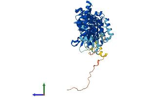 AlphaFold protein structure predicition of Human Recombinant ATP6V1B2 Protein, UniprotID P21281