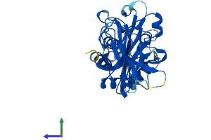 AlphaFold protein structure predicition of Human Recombinant NUDT18 Protein, UniprotID Q6ZVK8