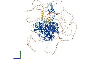 AlphaFold protein structure predicition of Human Recombinant TUT7 Protein, UniprotID Q5VYS8