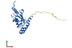 AlphaFold protein structure predicition of Human Recombinant UBE2H Protein, UniprotID P62256