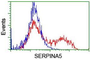 Flow Cytometry (FACS) image for anti-serpin Peptidase Inhibitor, Clade A (Alpha-1 Antiproteinase, Antitrypsin), Member 5 (SERPINA5) antibody (ABIN1500054) (SERPINA5 anticorps)