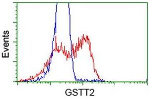HEK293T cells transfected with either RC200040 overexpress plasmid (Red) or empty vector control plasmid (Blue) were immunostained by anti-GSTT2 antibody (ABIN2453099), and then analyzed by flow cytometry. (GSTT2 anticorps)