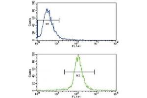 Flow cytometric analysis of NCI-H460 cells using anti-Caspase-3 antibody (bottom histogram) compared to a negative control cell (top histogram).