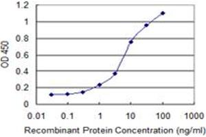 Detection limit for recombinant GST tagged CCL2 is 0.