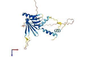 AlphaFold protein structure predicition of Mouse Recombinant Rec114 Protein, UniprotID Q9CWH4