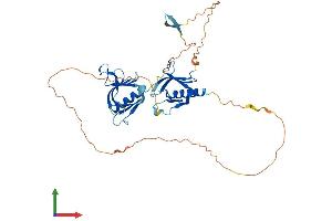 AlphaFold protein structure predicition of Human Recombinant PLEKHA1 Protein, UniprotID Q9HB21