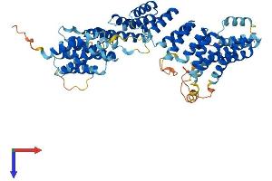 AlphaFold protein structure predicition of Human Recombinant FANCG Protein, UniprotID O15287