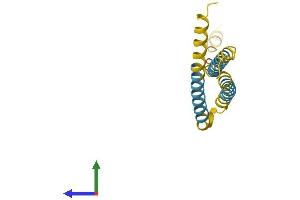 AlphaFold protein structure predicition of Mouse Recombinant Ninj2 Protein, UniprotID Q9JL89