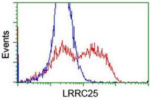 HEK293T cells transfected with either RC209911 overexpress plasmid (Red) or empty vector control plasmid (Blue) were immunostained by anti-LRRC25 antibody (ABIN2455881), and then analyzed by flow cytometry. (LRRC25 anticorps)