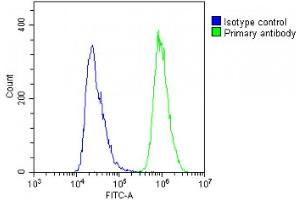 Overlay histogram showing A431 cells stained with (ABIN6243497 and ABIN6578852)(green line).