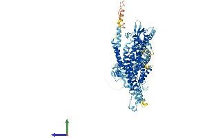 AlphaFold protein structure predicition of Human Recombinant TCIRG1 Protein, UniprotID Q13488