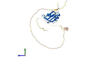 AlphaFold protein structure predicition of Mouse Recombinant Rbm24 Protein, UniprotID D3Z4I3