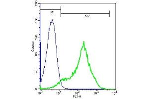 Mouse splenocytes probed with Rabbit Anti-Frizzled 10/CD350 Polyclonal Antibody (ABIN1714166) at 1:100 for 60 minutes followed by incubation with Goat Anti-Rabbit IgG FITC conjugated secondary at 1:100 (green) for 40 minutes compared to cont