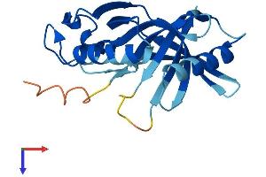 AlphaFold protein structure predicition of Human Recombinant HEBP1 Protein, UniprotID Q9NRV9