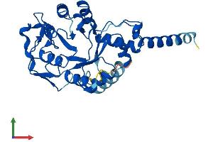 AlphaFold protein structure predicition of Human Recombinant GDPD3 Protein, UniprotID Q7L5L3