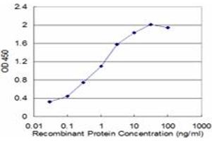 Detection limit for recombinant GST tagged CTDP1 is approximately 0.