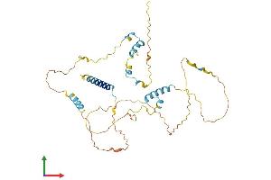 AlphaFold protein structure predicition of Mouse Recombinant Fam110b Protein, UniprotID Q8C739