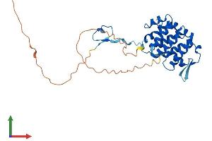 AlphaFold protein structure predicition of Human Recombinant PACRG Protein, UniprotID Q96M98