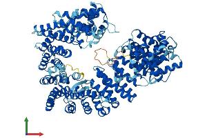 AlphaFold protein structure predicition of Human Recombinant CSE1L Protein, UniprotID P55060