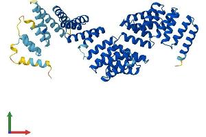 AlphaFold protein structure predicition of Human Recombinant TTC6 Protein, UniprotID Q86TZ1