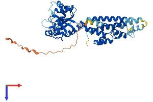 AlphaFold protein structure predicition of Mouse Recombinant Irgm1 Protein, UniprotID Q60766