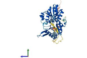 AlphaFold protein structure predicition of Mouse Recombinant Prpsap2 Protein, UniprotID Q8R574