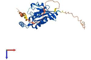 AlphaFold protein structure predicition of Mouse Recombinant Rhou Protein, UniprotID Q9EQT3