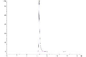 The purity of Human B7-H3b is greater than 95 % as determined by SEC-HPLC.