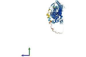 AlphaFold protein structure predicition of Human Recombinant ROM1 Protein, UniprotID Q03395